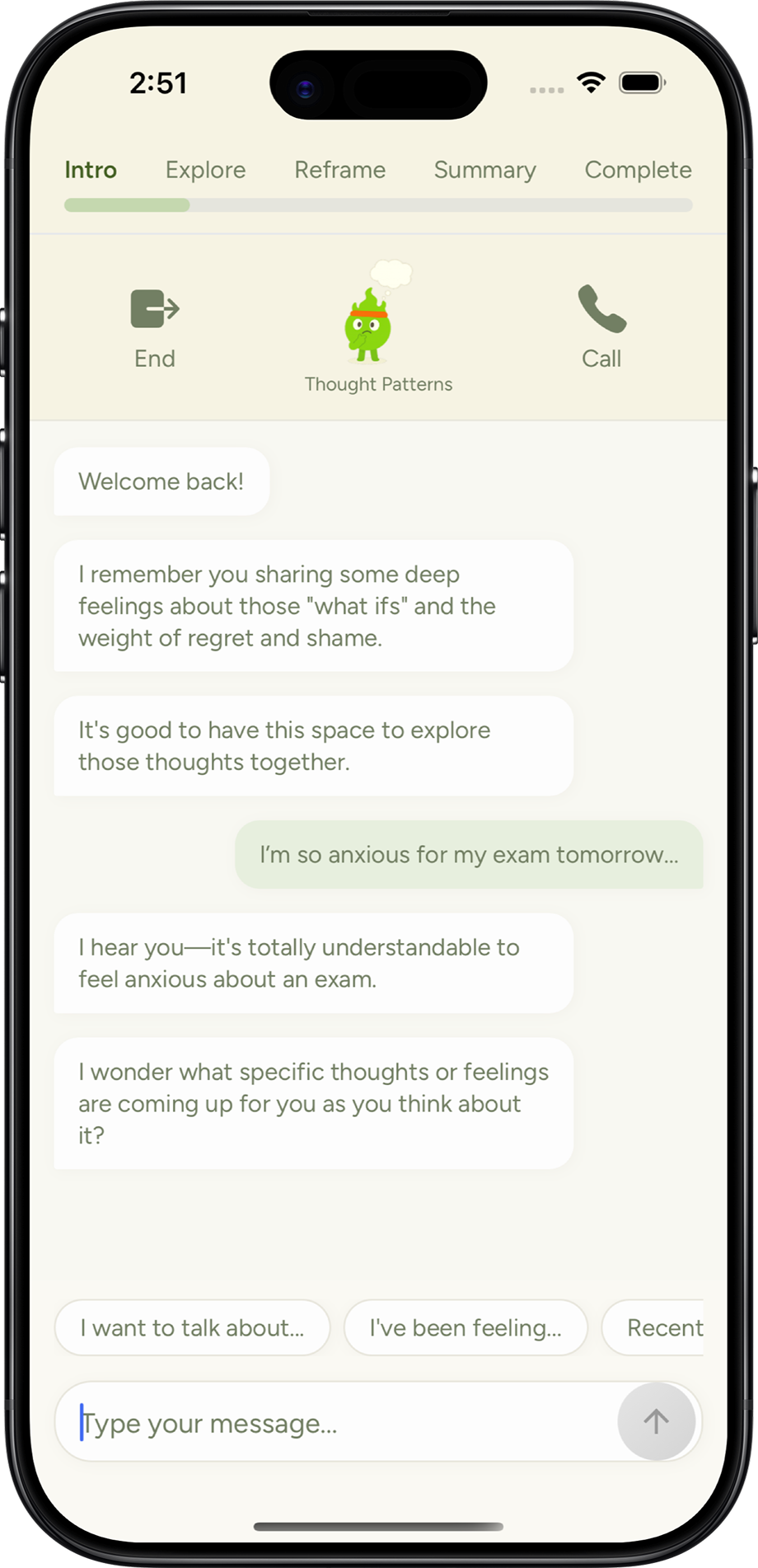 iPhone chat interface