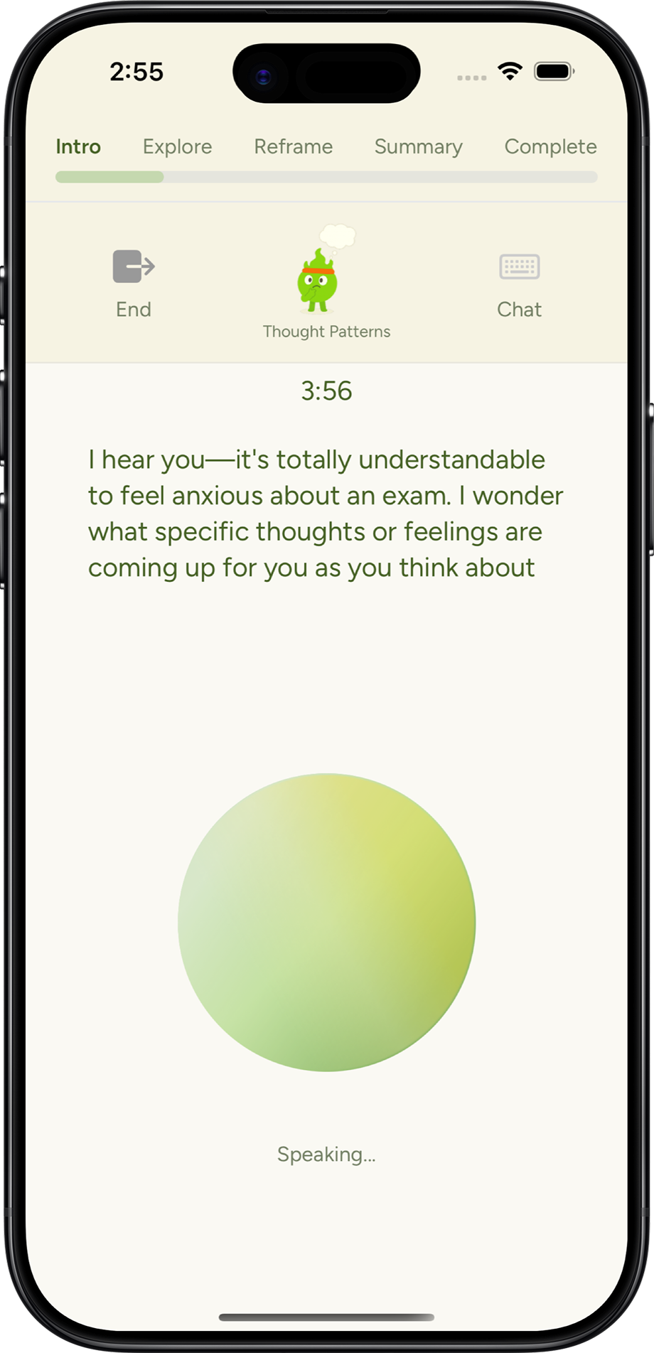 iPhone voice interface
